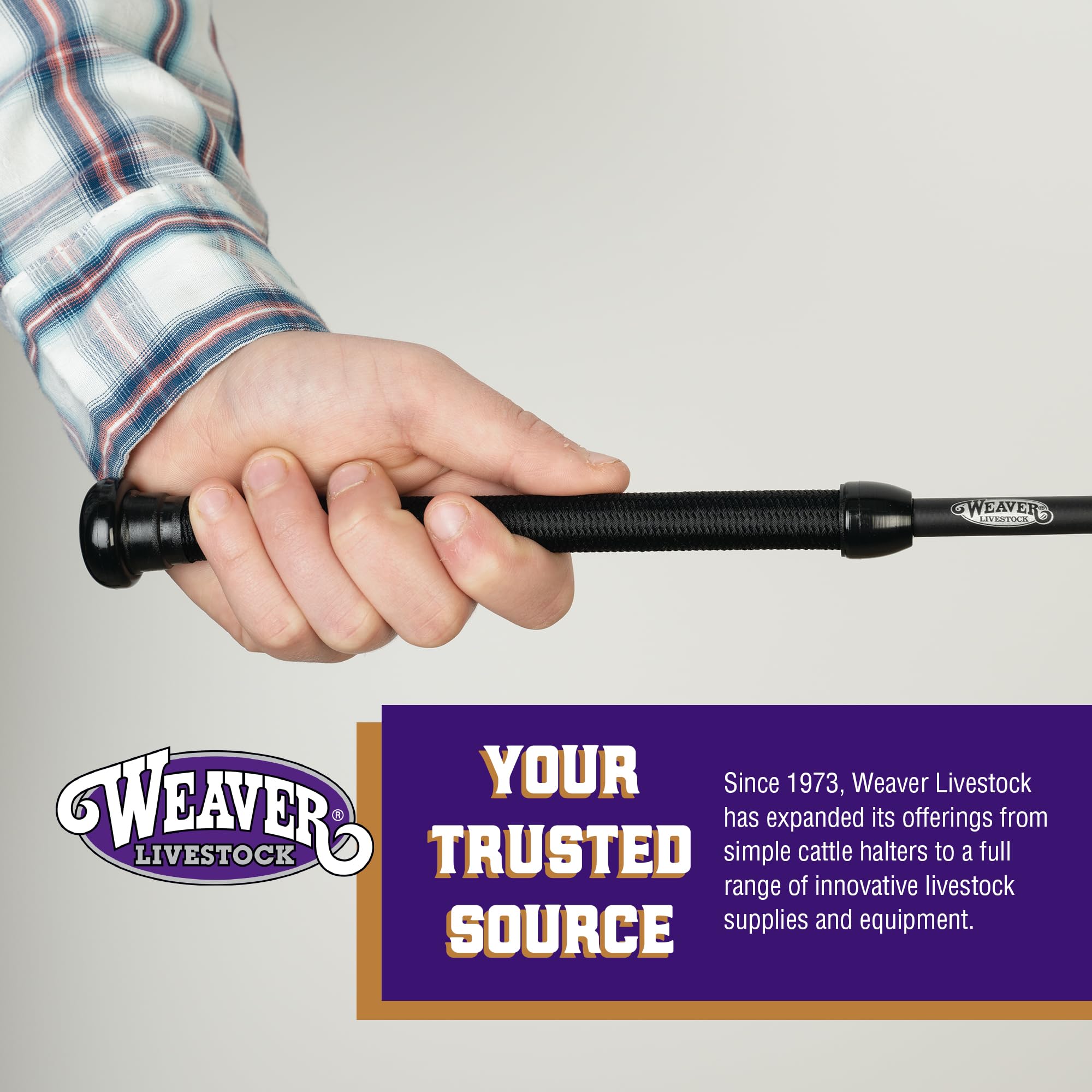 Weaver Livestock pig training whip versatile for breeds and sizes.