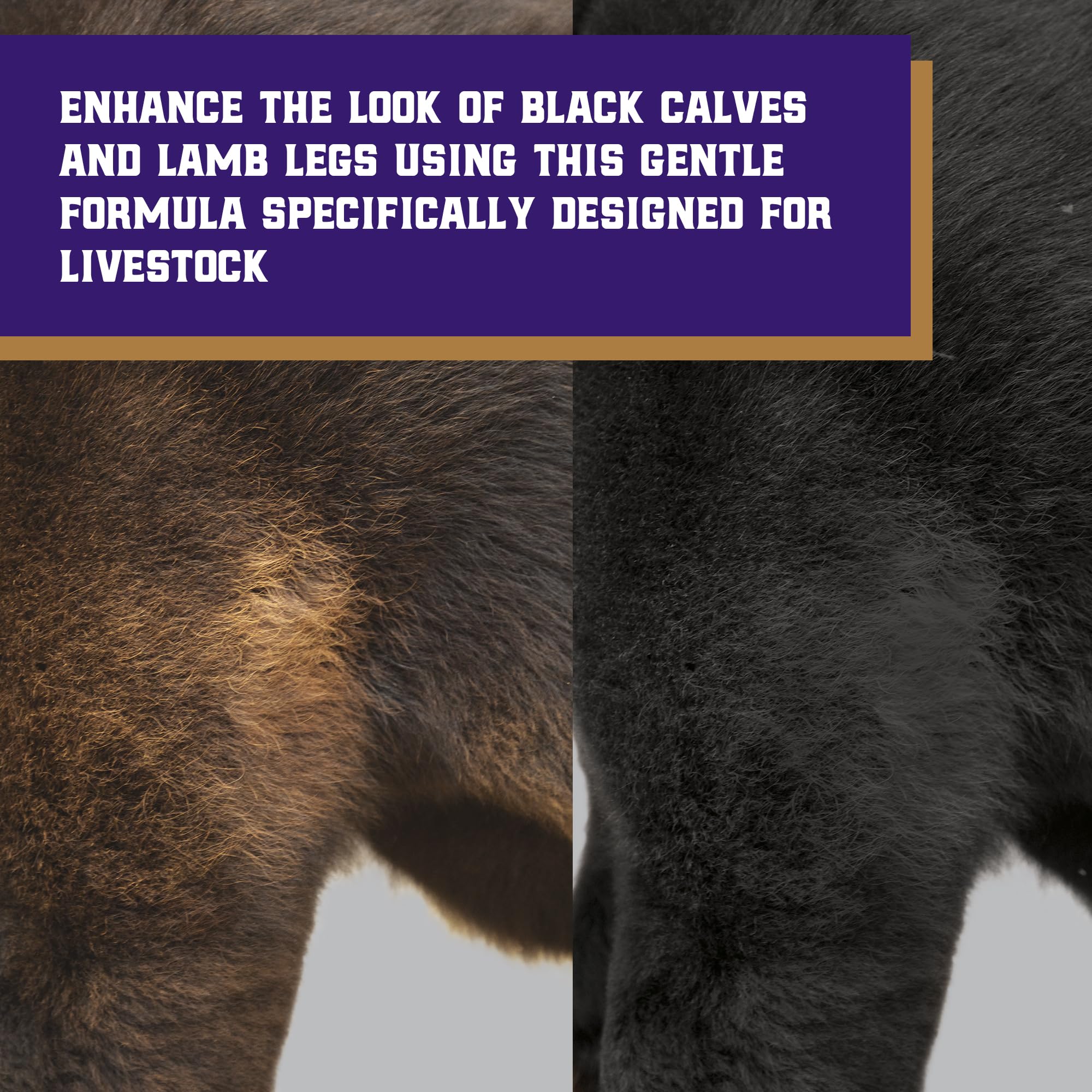 Weaver Livestock ProDye activator mixing scene ensures controlled, waste-minimizing dye usage.