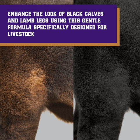 Weaver Livestock ProDye activator mixing scene ensures controlled, waste-minimizing dye usage.