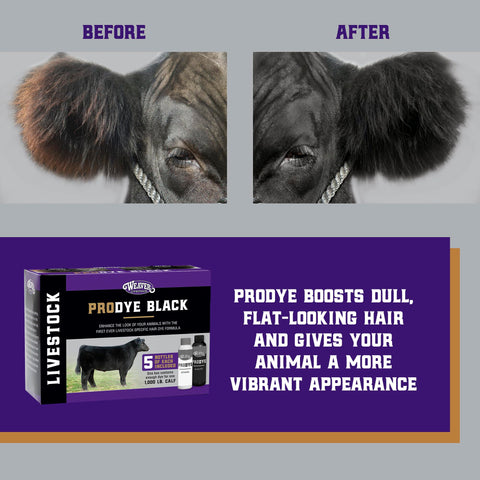 Weaver Livestock ProDye deep black application on leg demonstrates precise touch-ups.