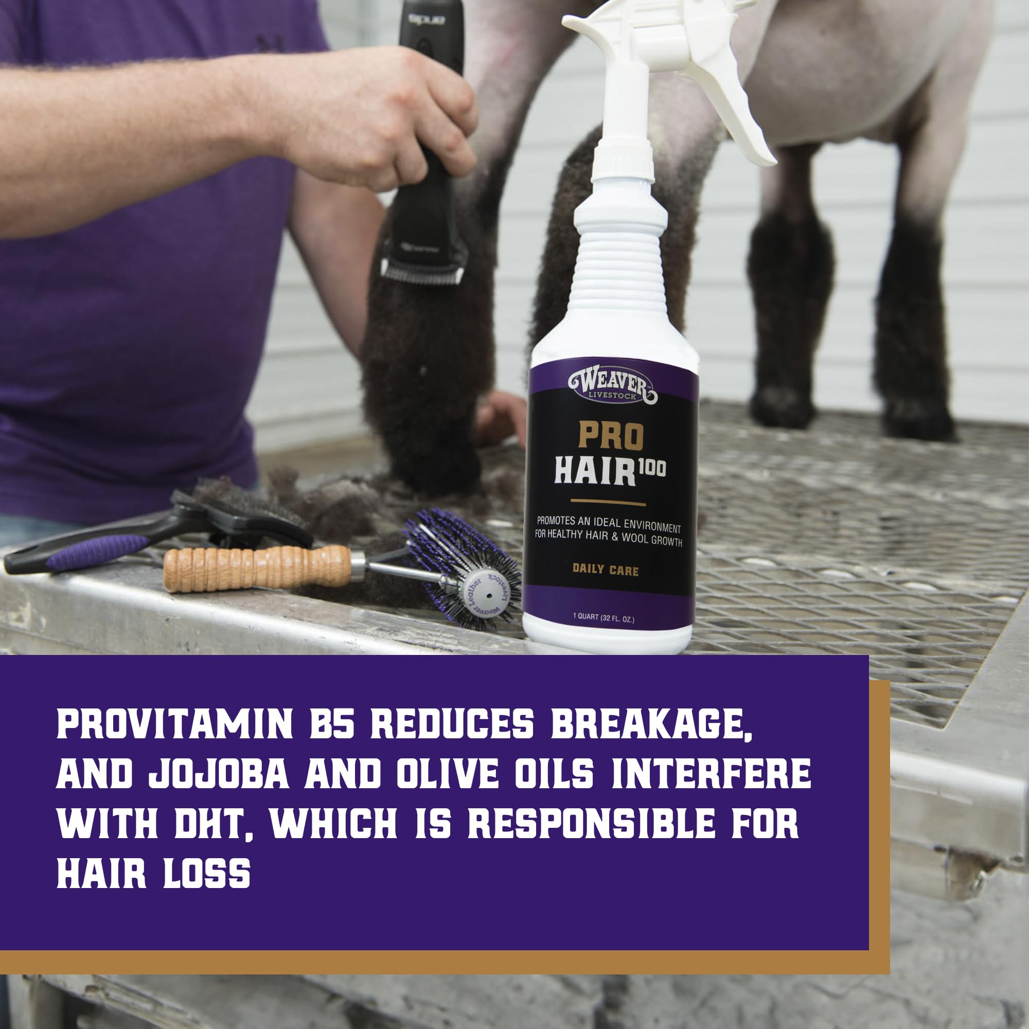 Weaver Livestock ProHair100 argan oil moisture nourishes hair and wool.