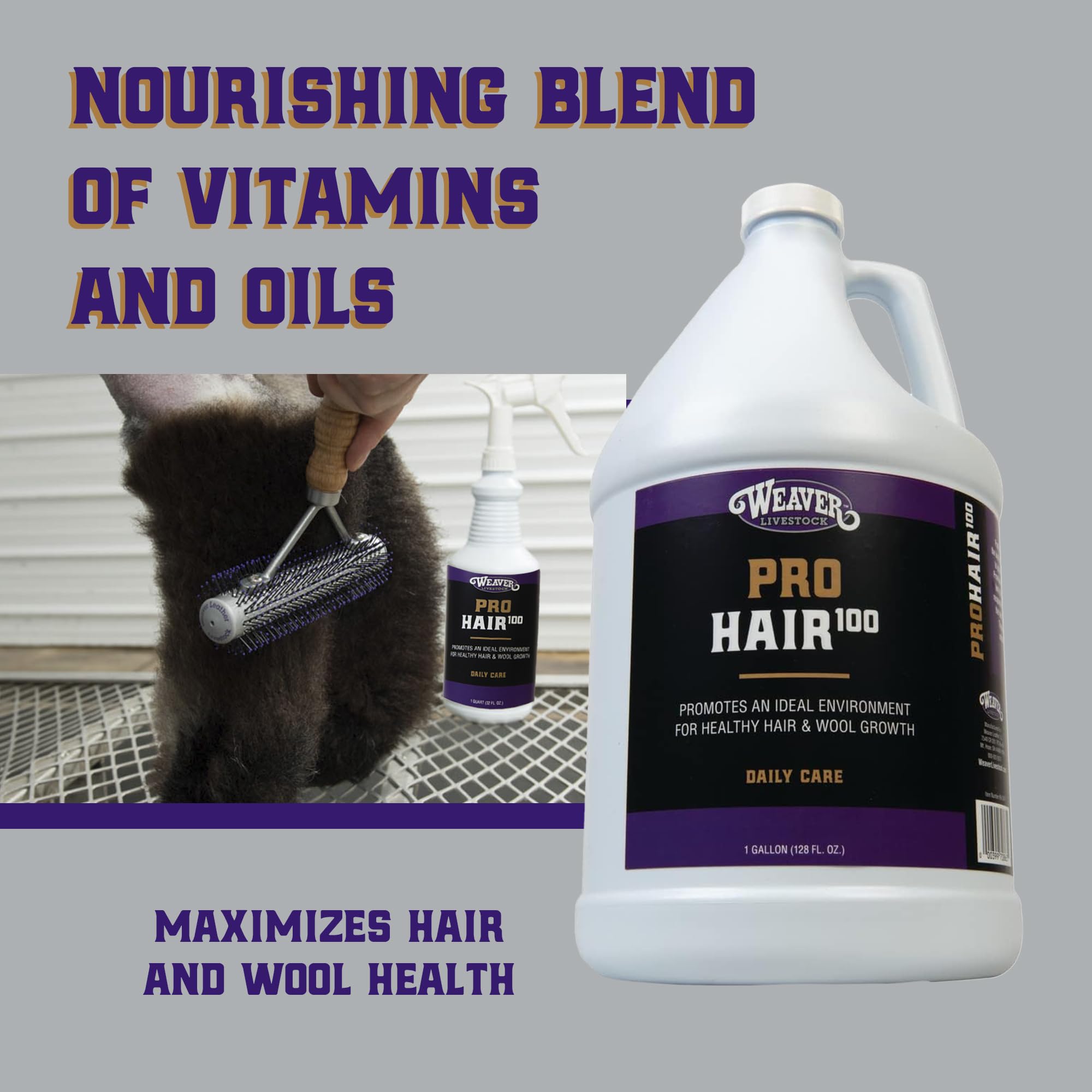Weaver Livestock ProHair100 keratin-strengthening formula supports thicker coats.