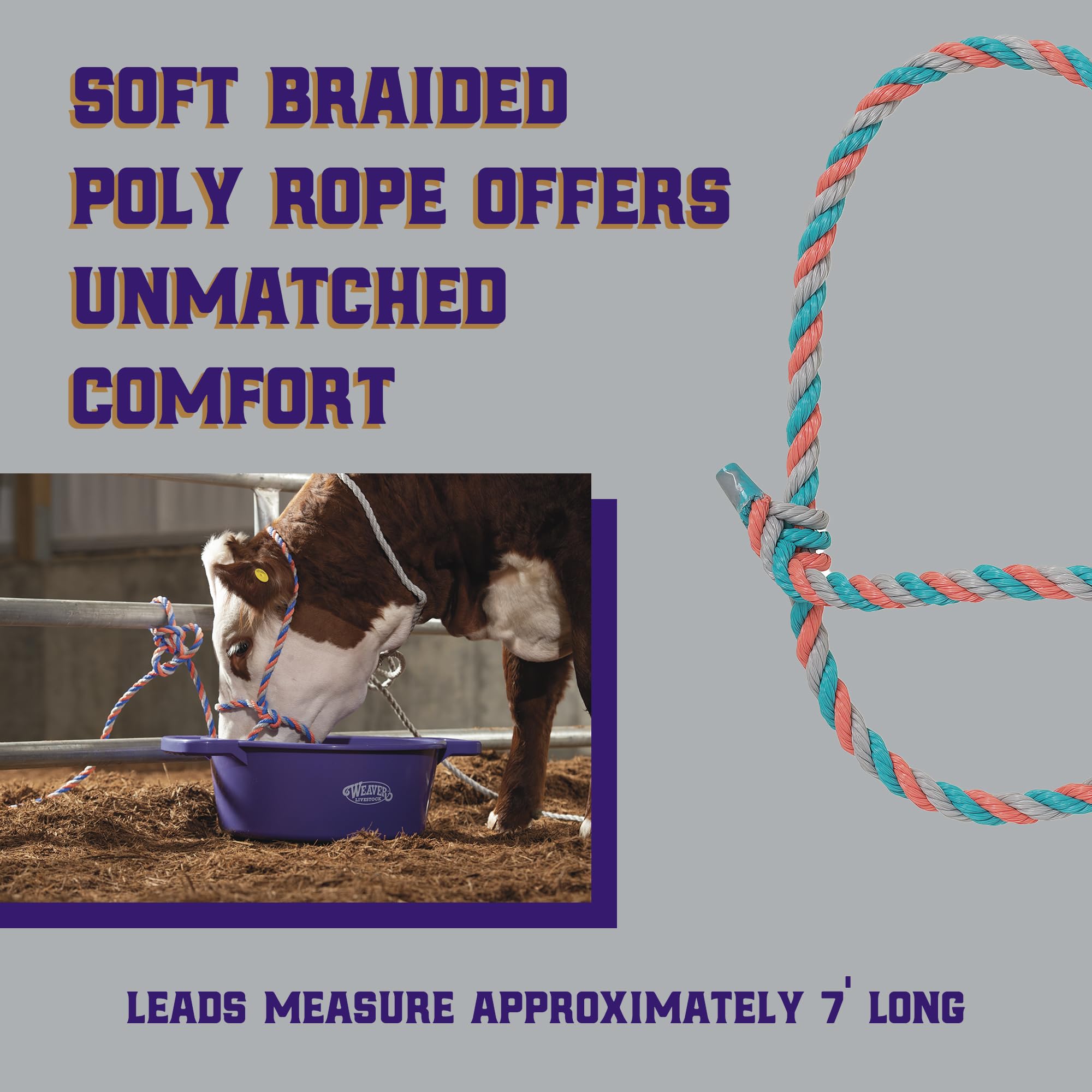 Weaver Livestock seven-foot lead for cattle enables easy guiding.