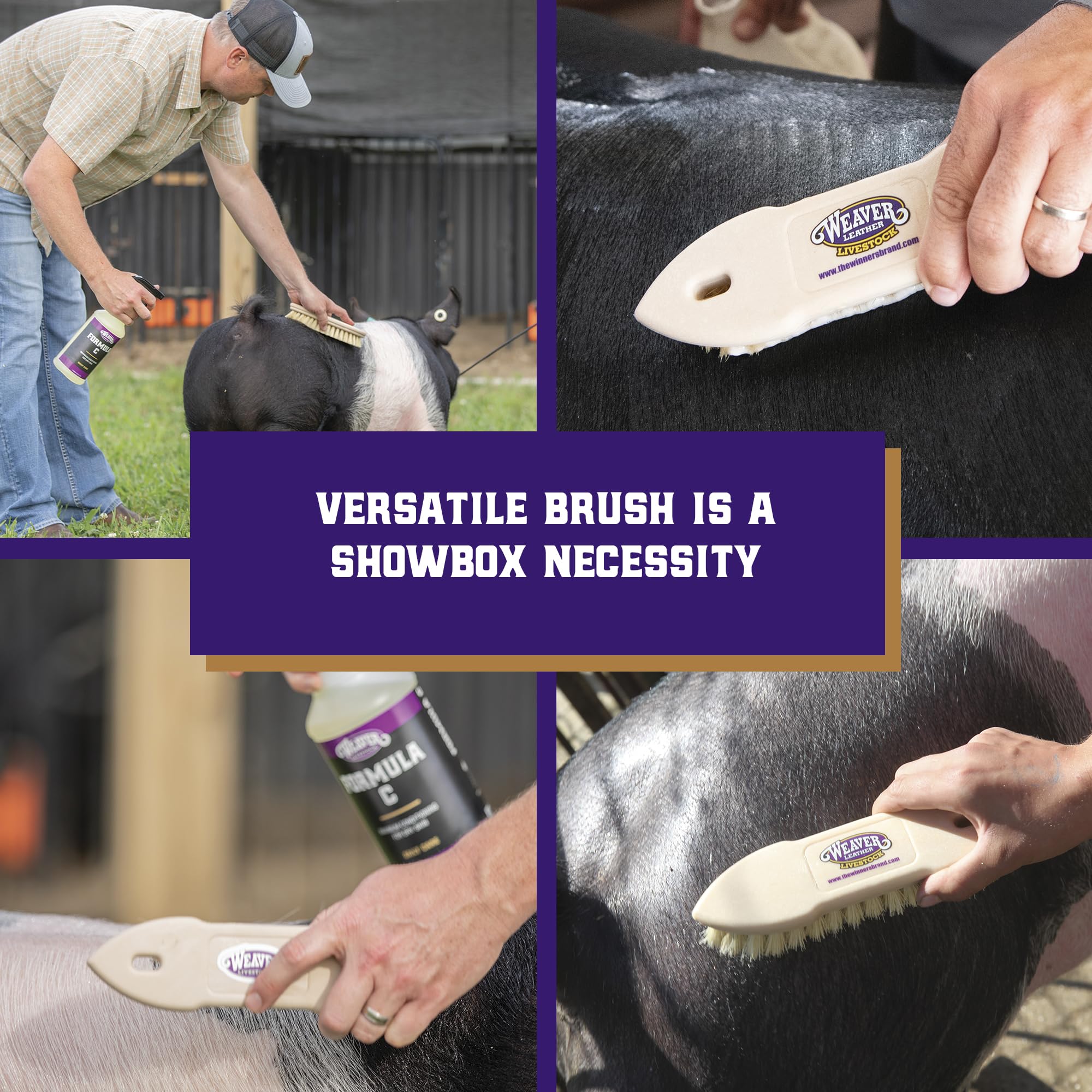 Weaver Livestock Tampico Pig Brush suitable for daily care on multiple pig sizes.