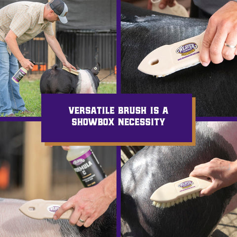 Weaver Livestock Tampico Pig Brush suitable for daily care on multiple pig sizes.