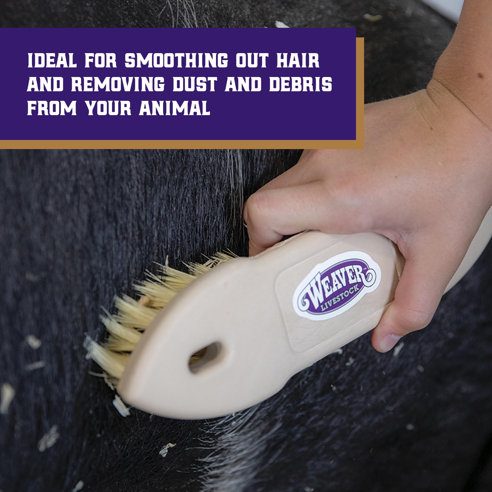 Weaver Livestock Tampico Pig Brush ergonomic handle for comfortable grooming.