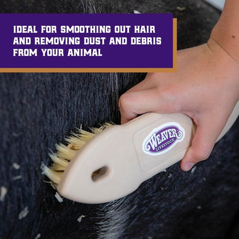 Weaver Livestock Tampico Pig Brush ergonomic handle for comfortable grooming.