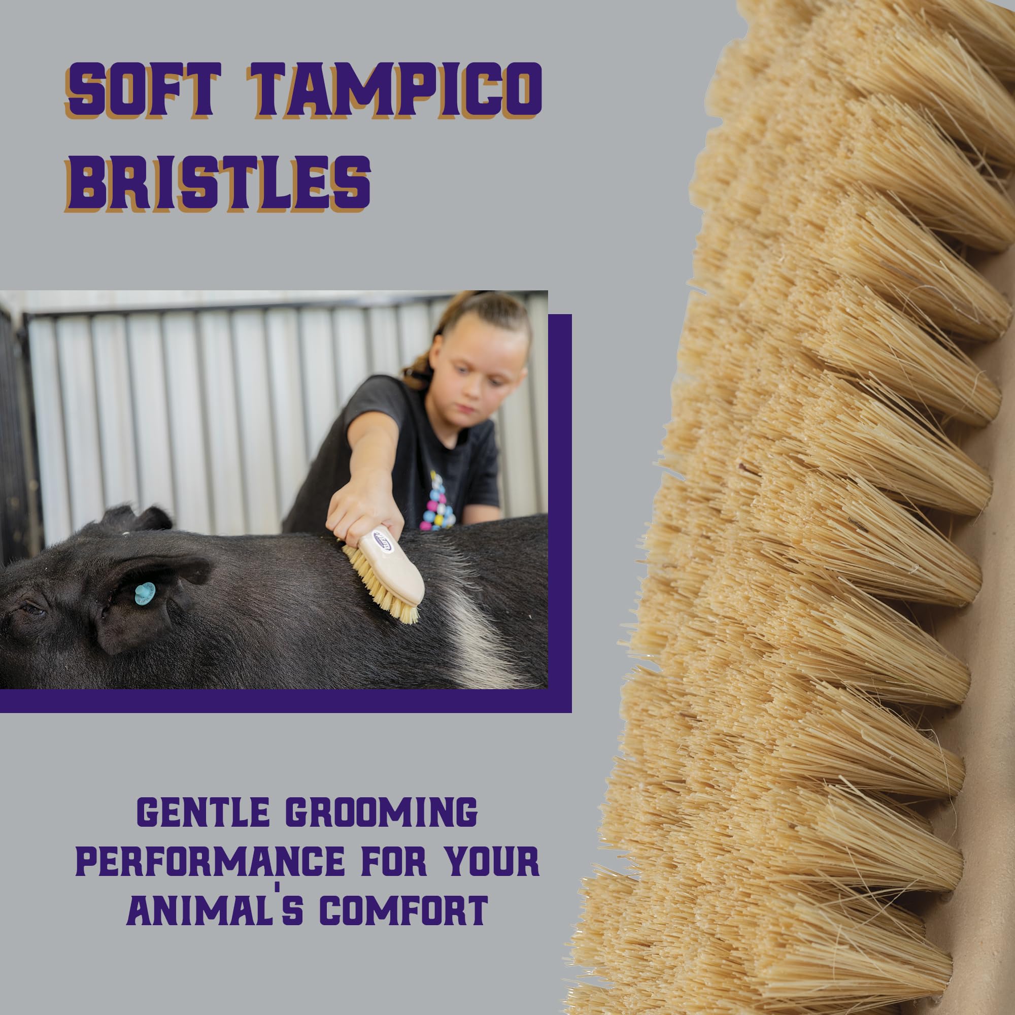 Weaver Livestock Tampico Pig Brush ideal for show day preps.