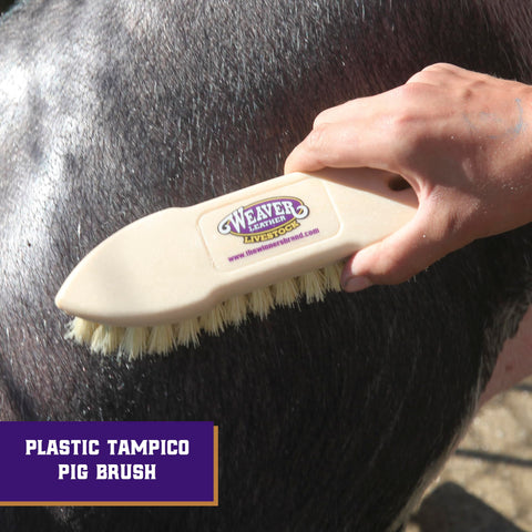 Weaver Livestock Tampico Pig Brush soft bristles for gentle grooming.