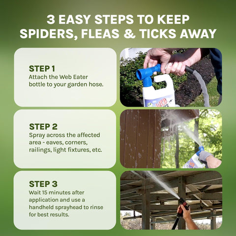 Web Eater action removes existing webs with an easy spray.