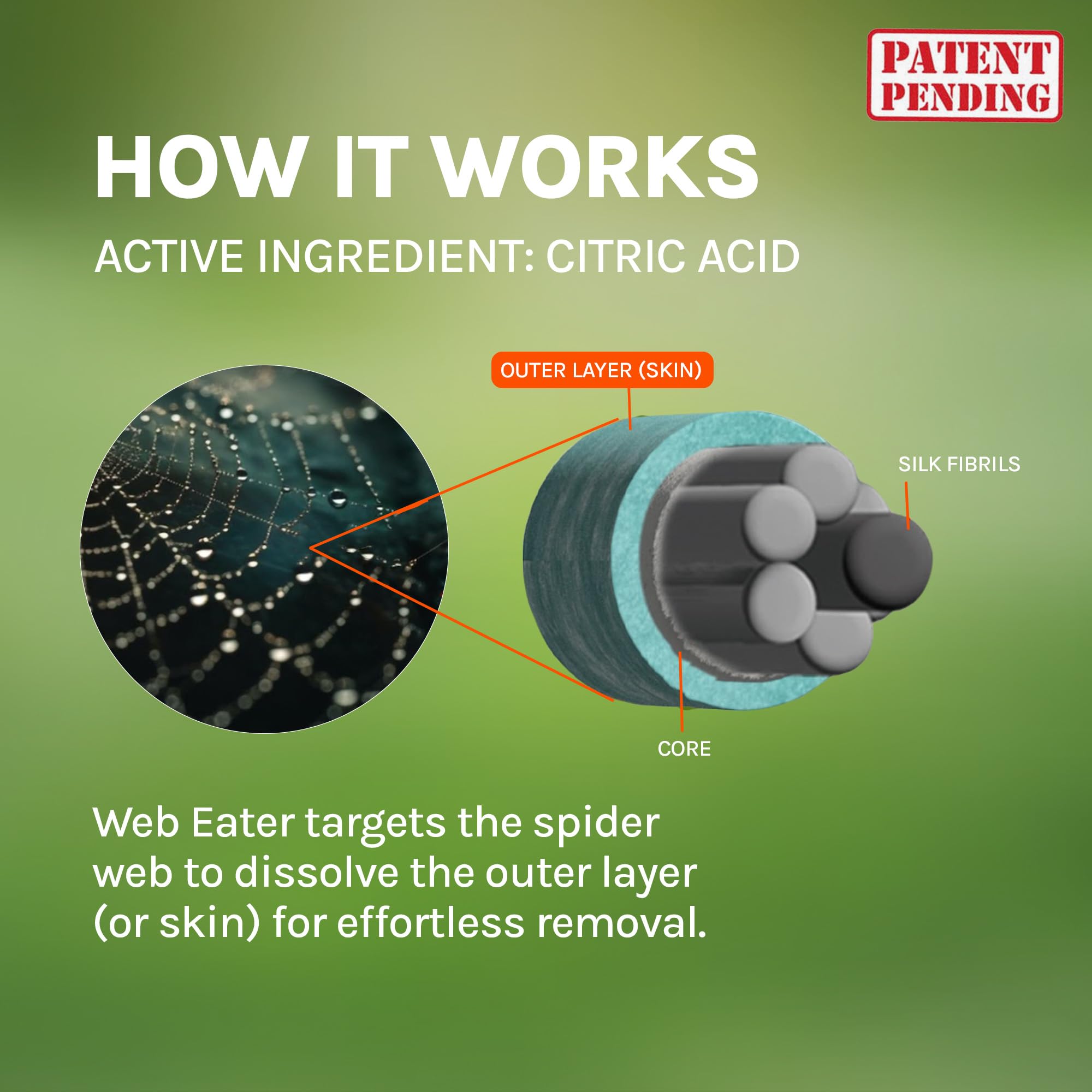 Web Eater offers long-lasting protection for outdoor spaces up to six months.