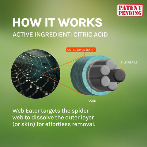 Web Eater offers long-lasting protection for outdoor spaces up to six months.