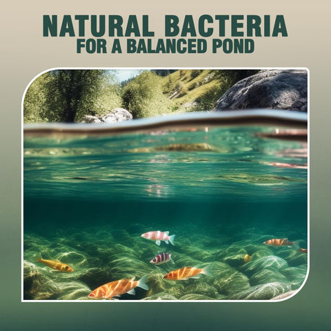 Webb's Water Gardens Microbe-Lift PL dosage-instructions illustration with simple steps to apply