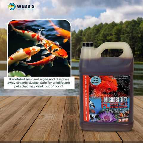 Webb's Water Gardens Microbe-Lift PL gift-ready-packaging suitable for pond enthusiasts