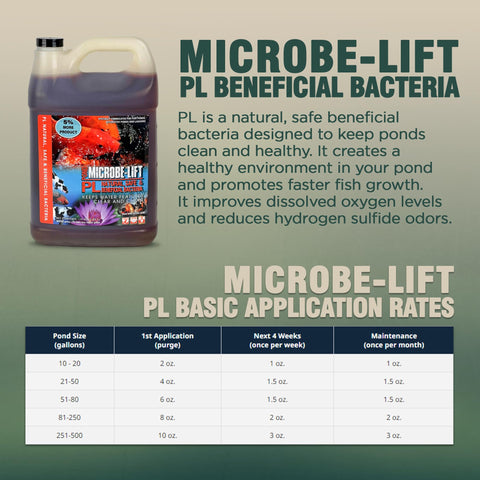 Webb's Water Gardens Microbe-Lift PL koi-safe-formula safe use around aquatic pets