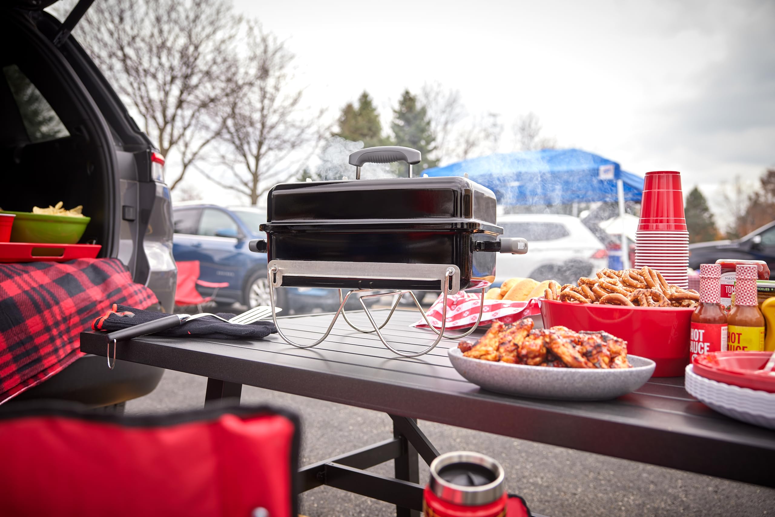 Weber Go-Anywhere packable storage for easy transport and quick setup.