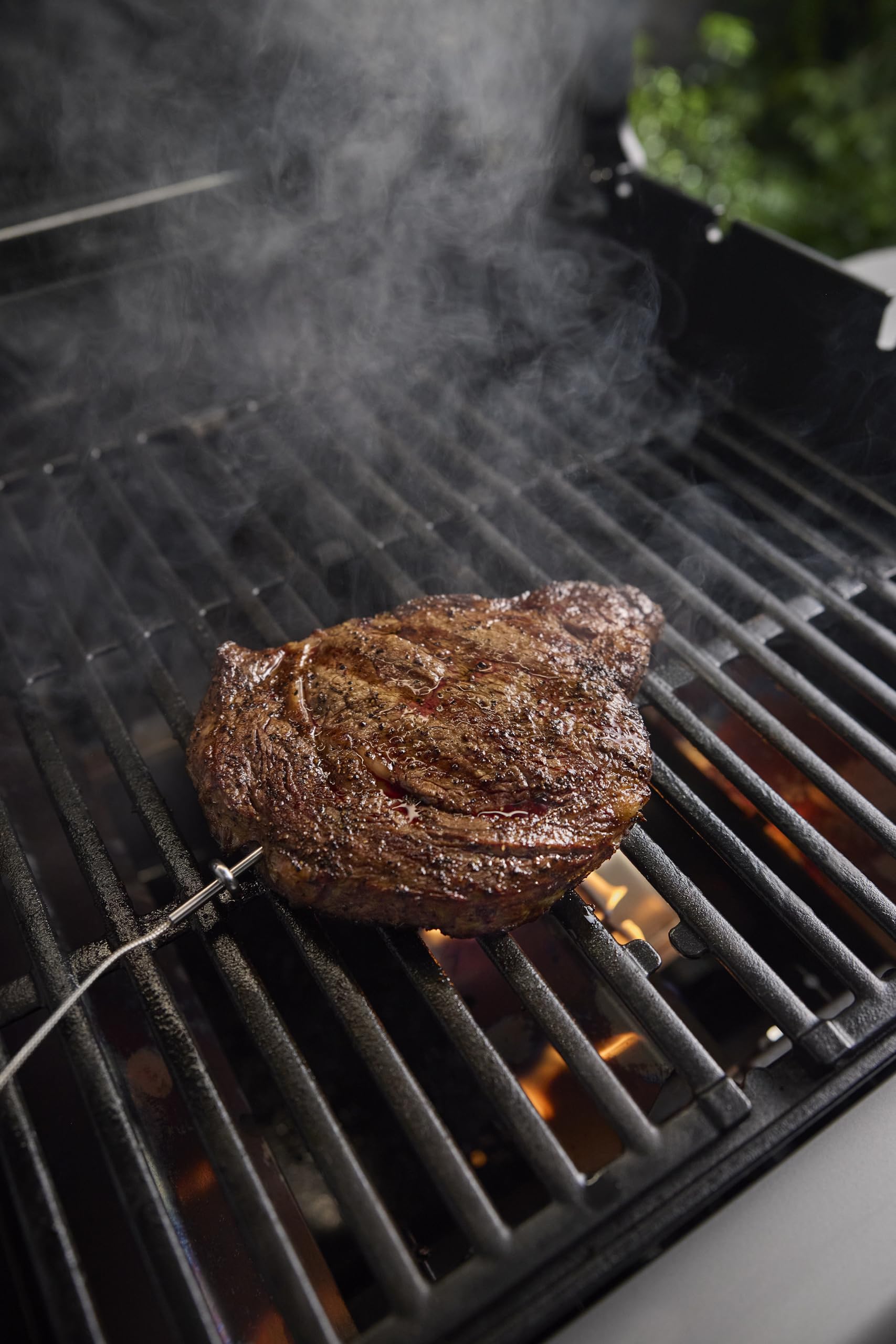 Weber Wired Grill Grate Food Probe rated up to 572 F for reliable use