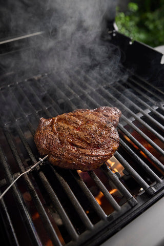 Weber Wired Grill Grate Food Probe rated up to 572 F for reliable use