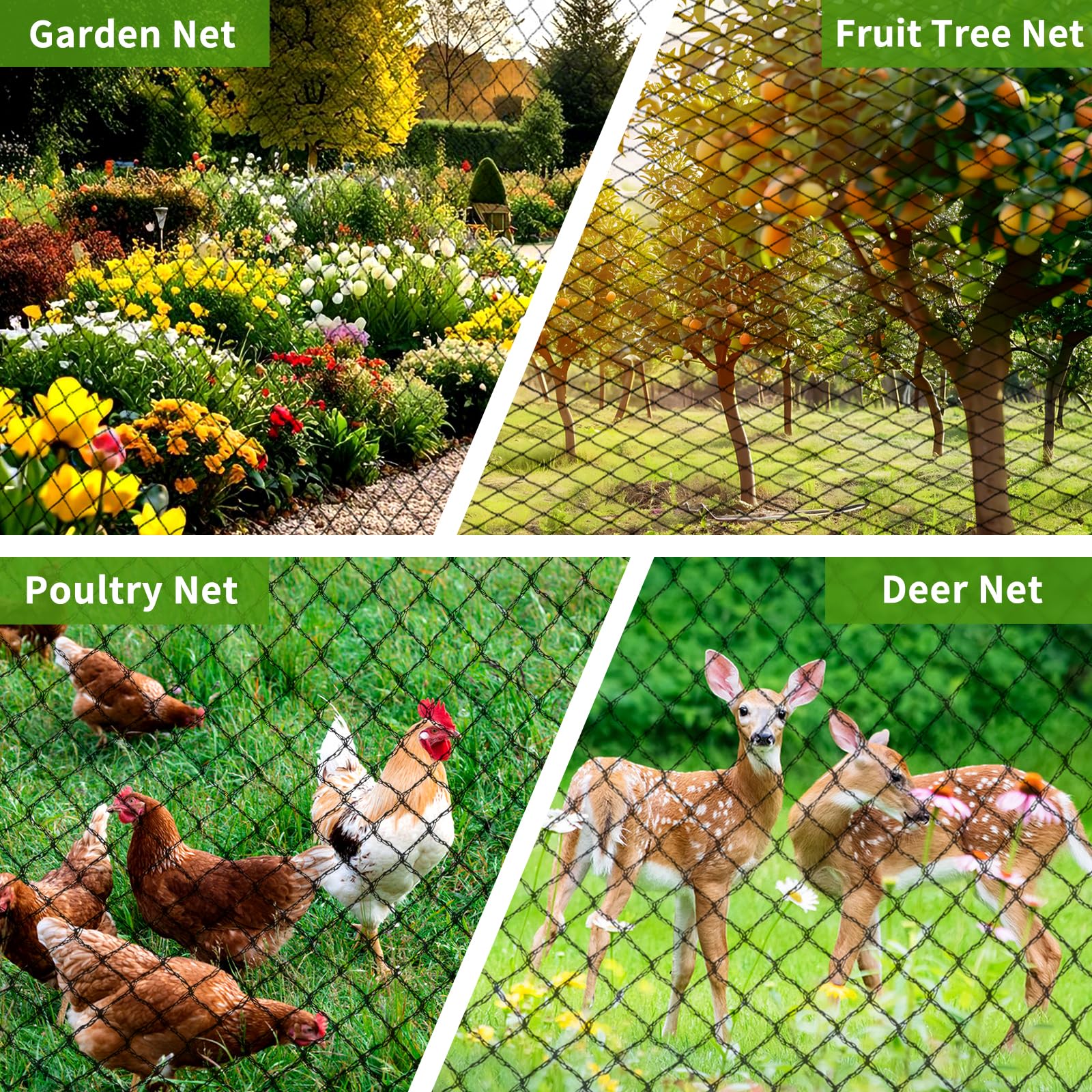 Webuys Bird Netting around a fruit tree to protect harvest