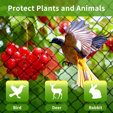 Webuys Bird Netting ground nails secure installation around beds
