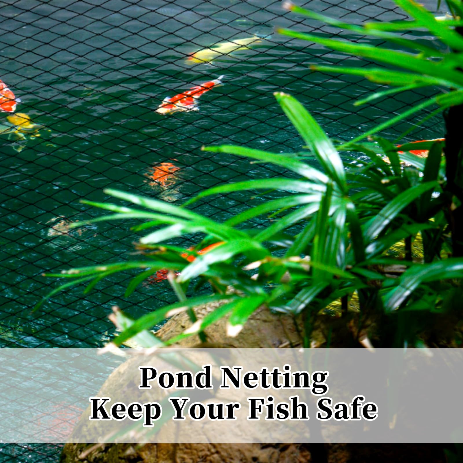 Webuys Bird Netting protects vegetables and berries without harming wildlife