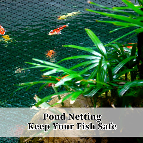 Webuys Bird Netting protects vegetables and berries without harming wildlife