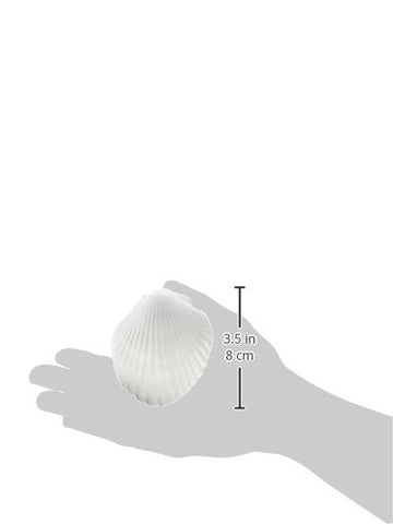 WECO Wonder Shell Giant close-up, calcium source for shell growth in snails and turtles