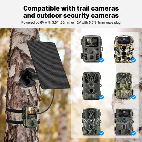 WECOOL all-weather design supports year-round wildlife monitoring