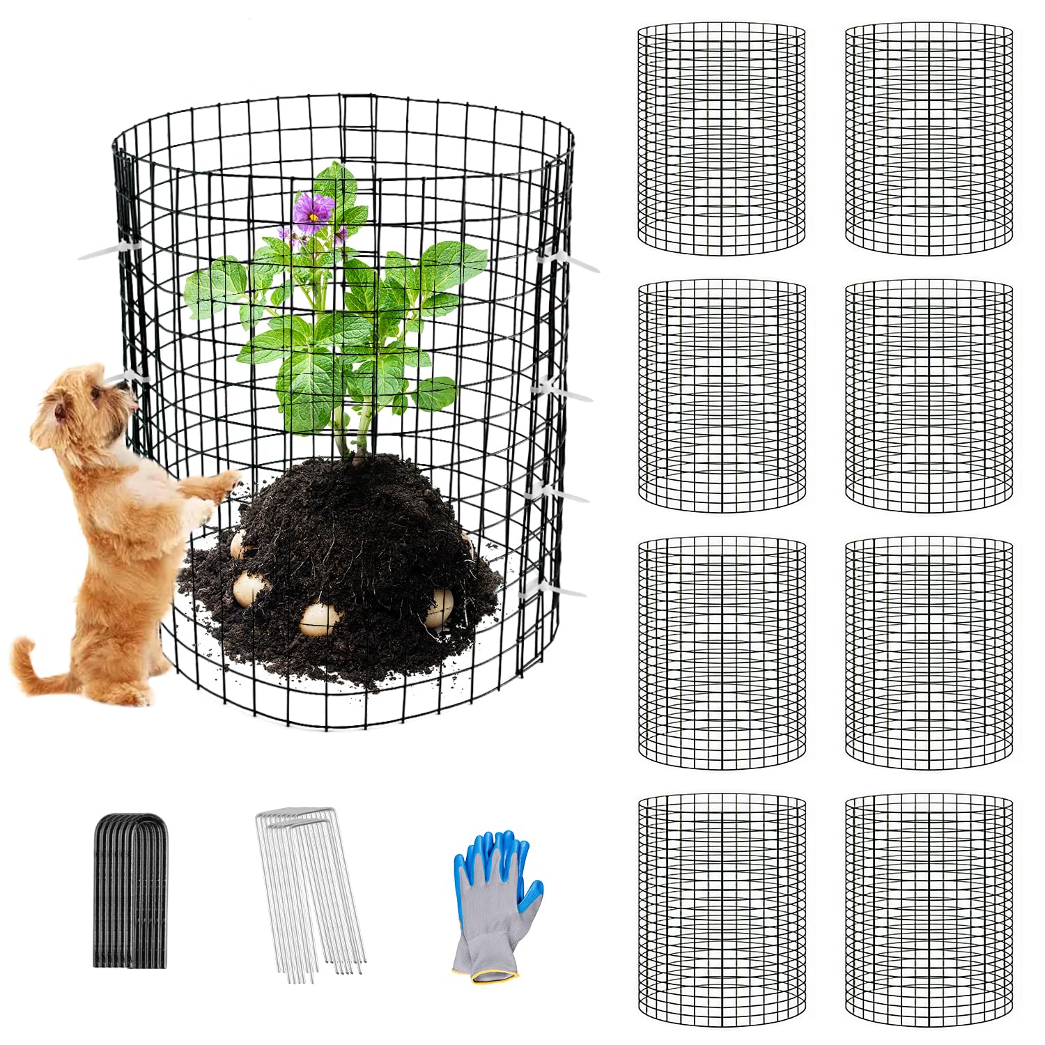 Wedmetal plant protector panel 12x12 inches shielding a shrub