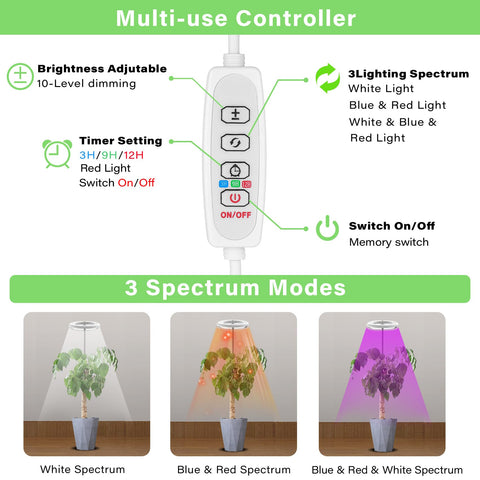 WeeaeeW 3-meter cord enables flexible placement and ample reach