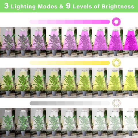WeeaeeW nine brightness levels let you fine-tune intensity