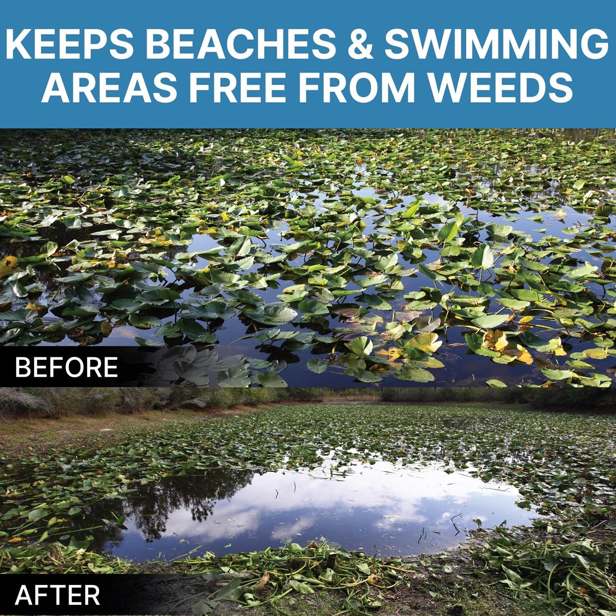 Weed Razer mechanical method avoids harsh chemicals while eliminating weeds.
