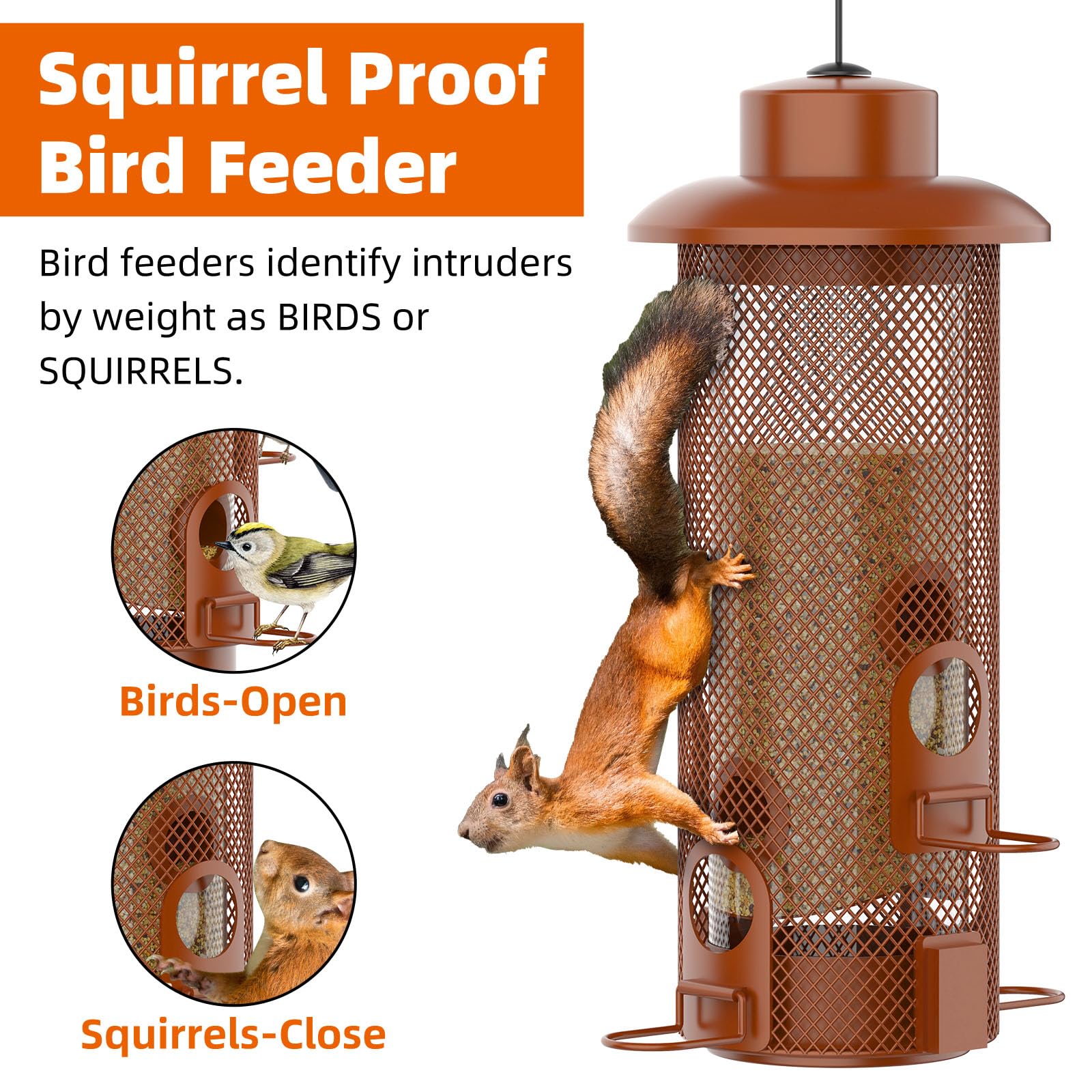 WeeFeetc four feeding ports enable multiple birds to dine together.