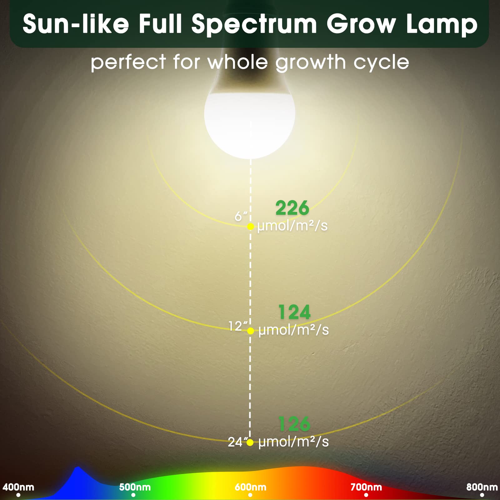 WeeGrow LED bulb delivers 1000 lumens for robust plant growth at all stages.