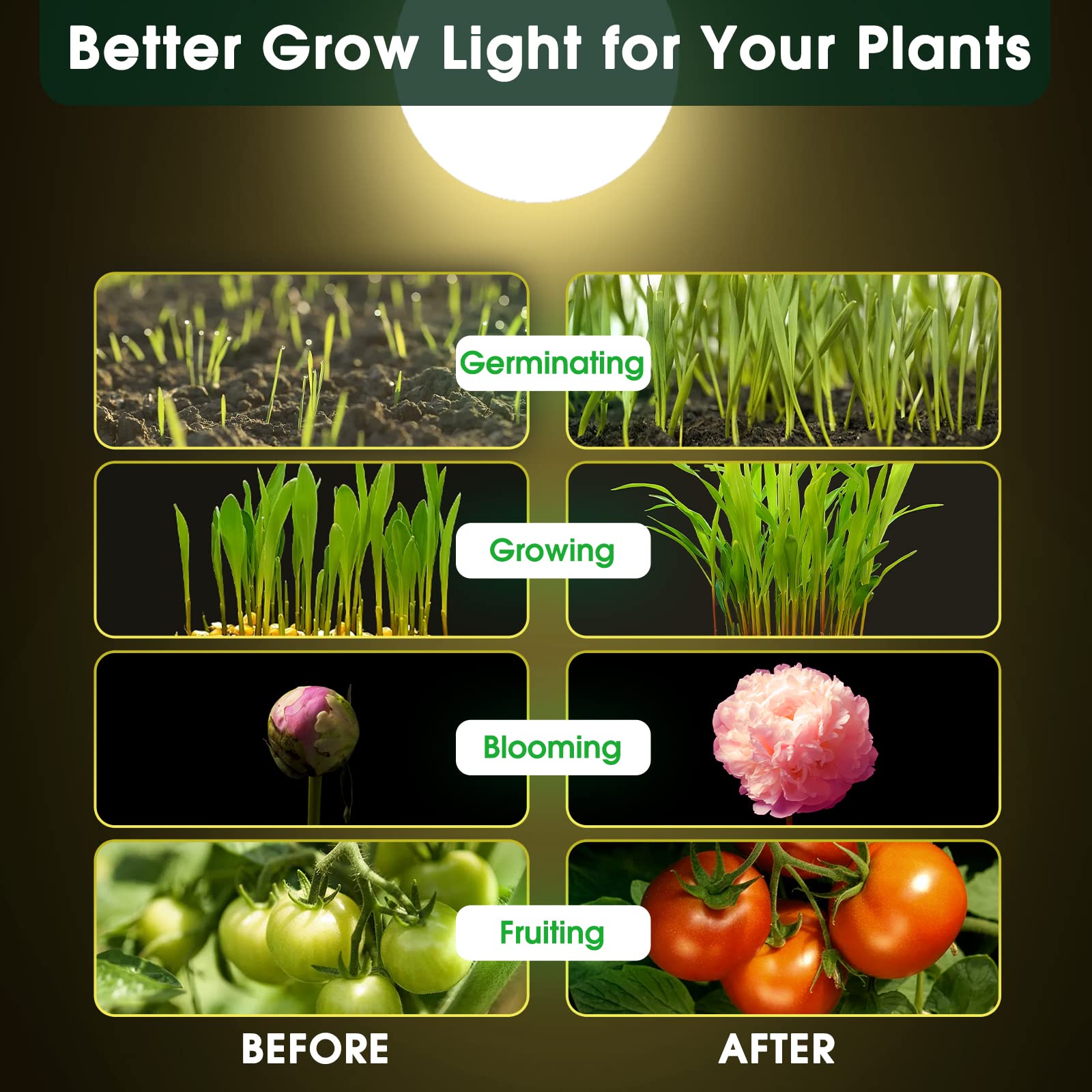 WeeGrow full spectrum bulb for greenhouse and indoor gardens supporting diverse crops.