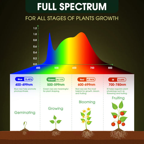 WeeGrow two pack LED grow lights provide reliable plant care and savings.