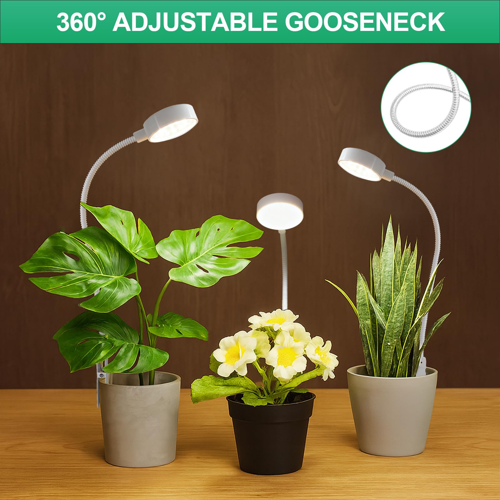 WeeLeeGoo 6000K full-spectrum light simulates daylight for indoor growth