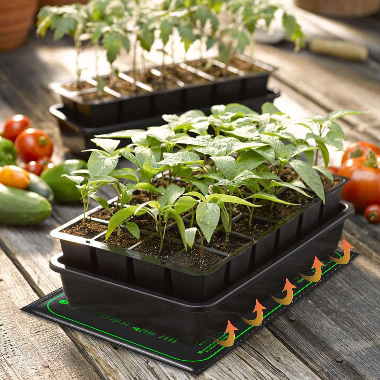 WeeLeeGoo humidity-dome pairing yields dew and moisture management for seedlings.
