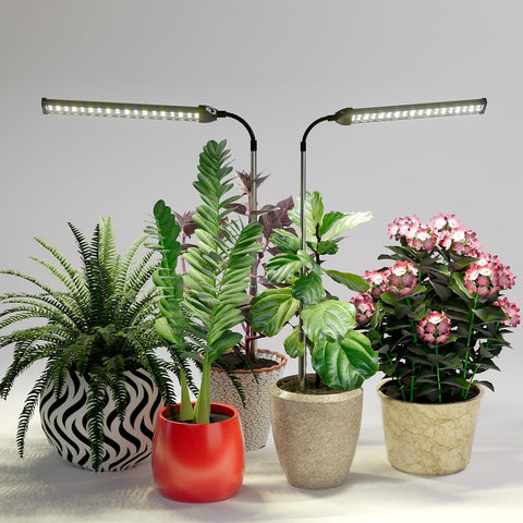 WeeLeeGoo LED Grow Light for indoor plants and succulents.