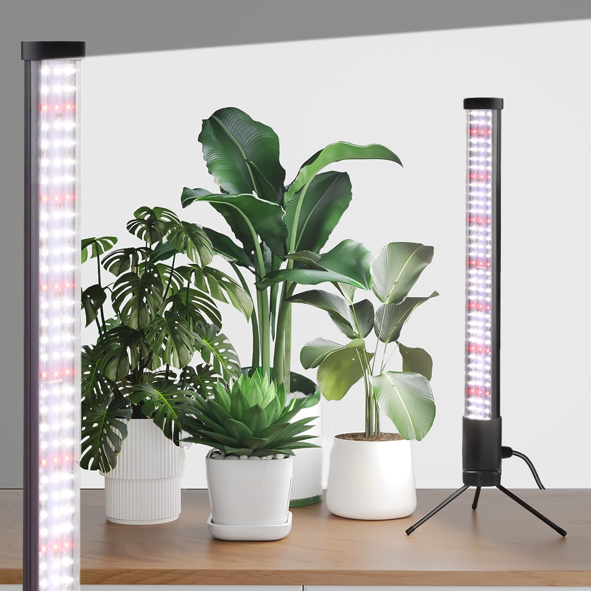 WeeLeeGoo T10 vertical grow light shows full-spectrum beads for healthy indoor plant growth