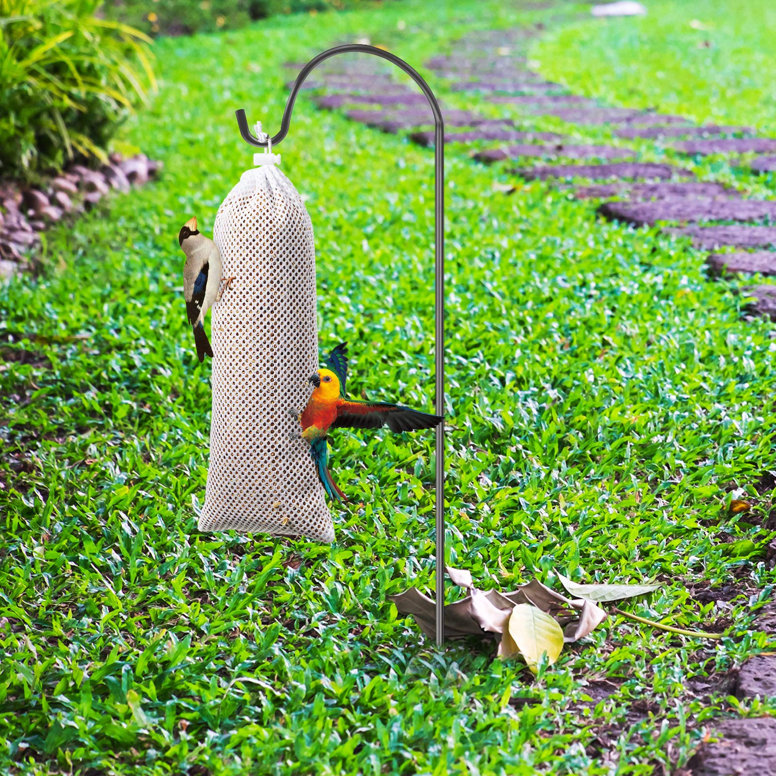 Weewooday birds eating through the sock emphasizes natural feeding behavior.