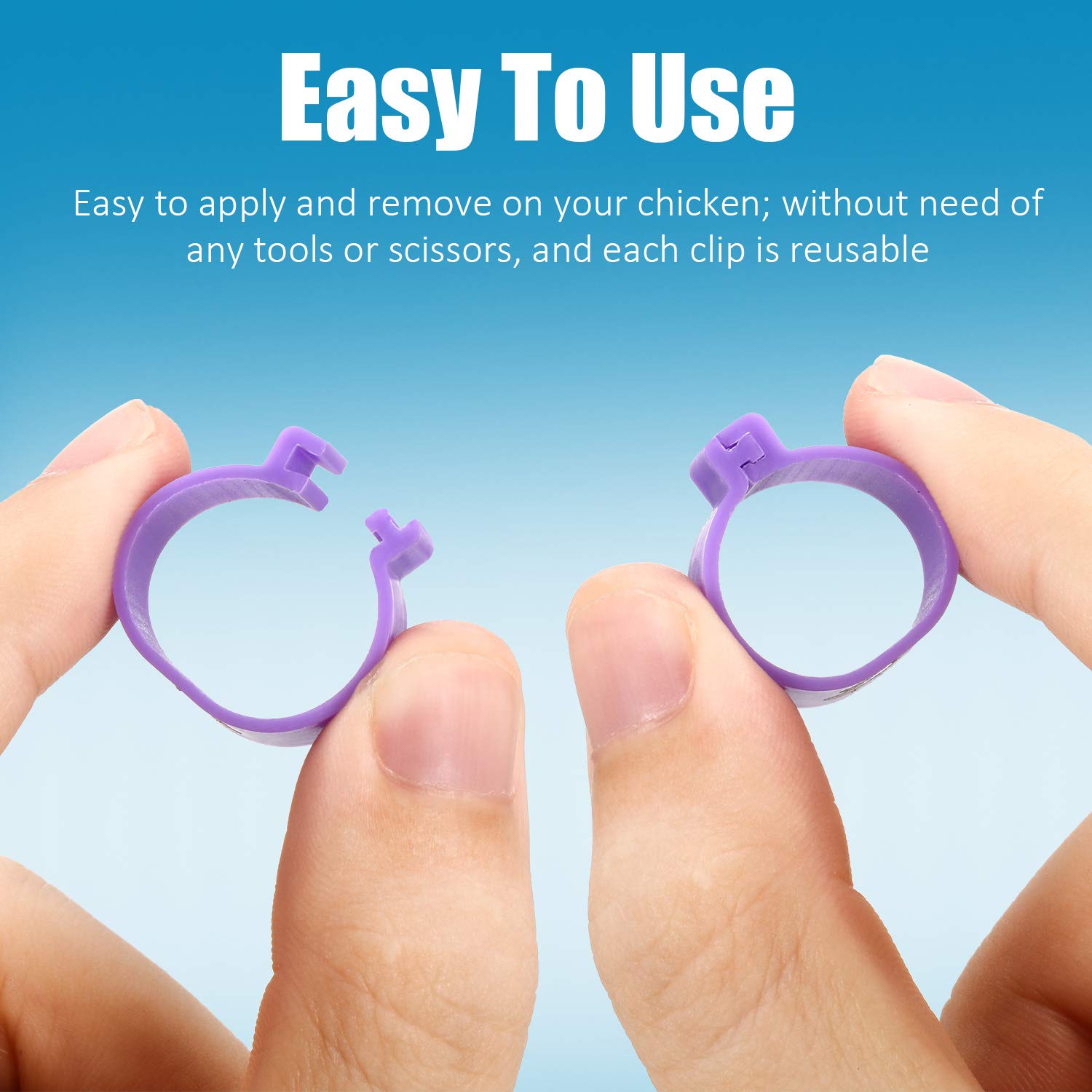 Weewooday 16mm blue chicken leg band, numbered for reliable bird tracking.