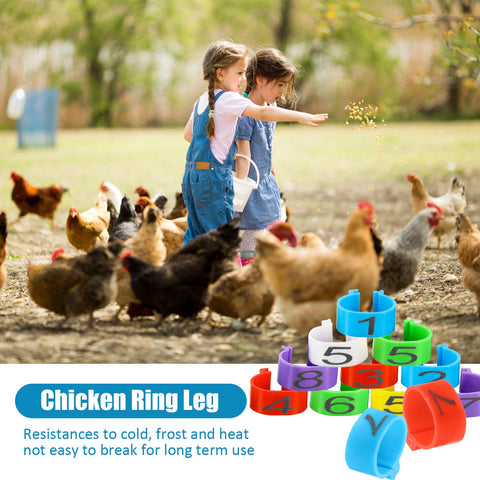 Weewooday 16mm yellow chicken leg band, numbered for clear bird labeling.