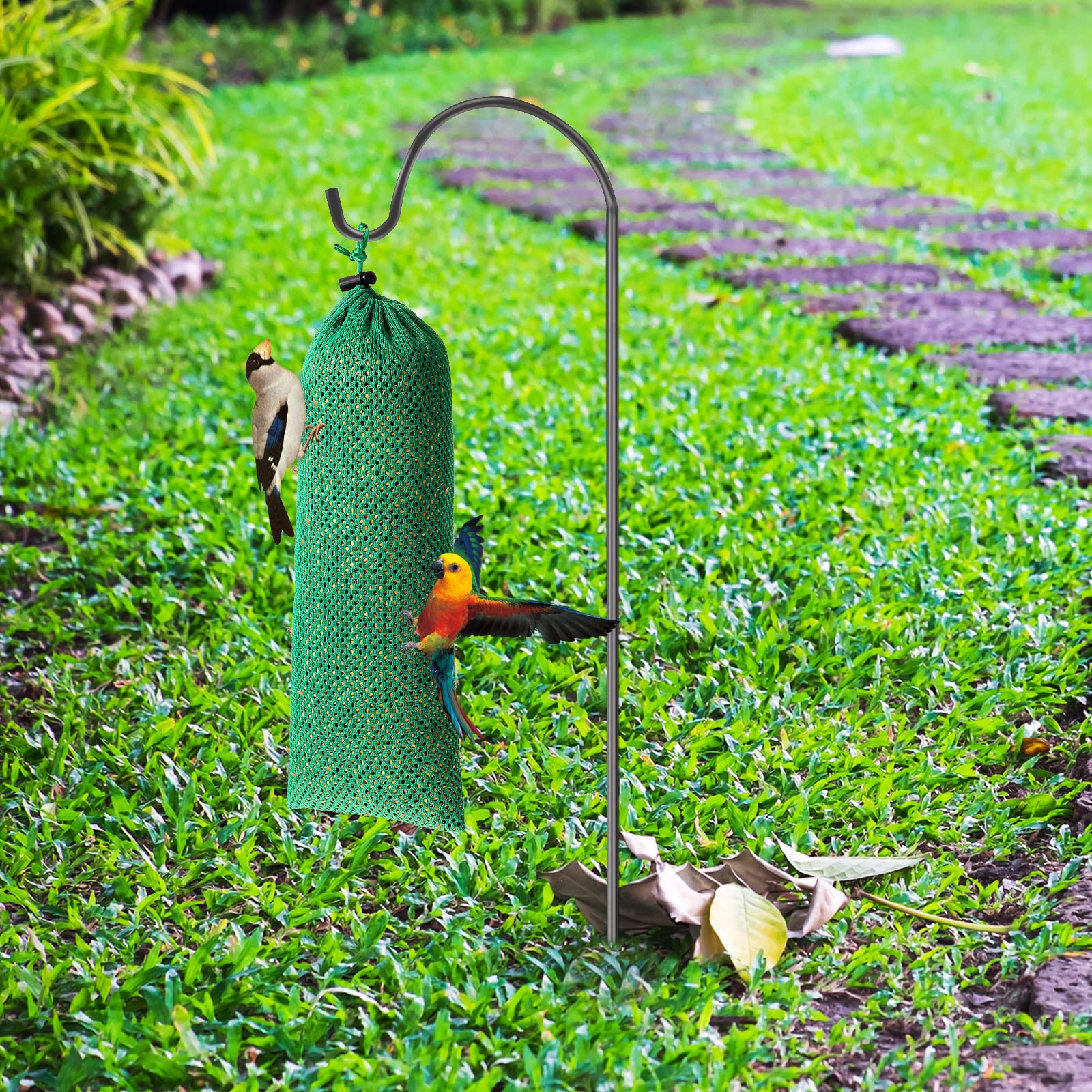 Weewooday goldfinch-friendly feeder attracts a variety of small yard birds