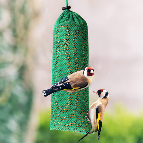 Weewooday outdoor garden feeder enables bird watching from your yard