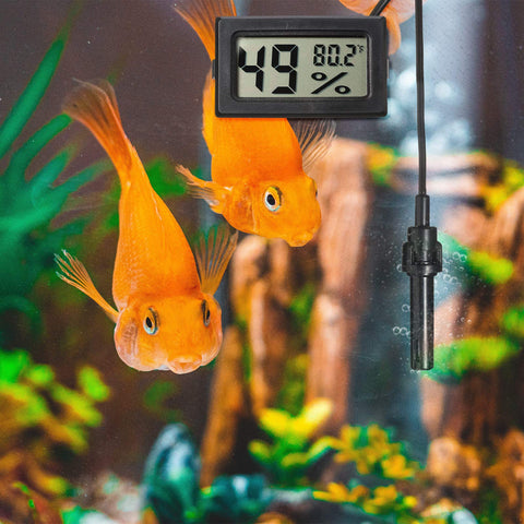 Weewooday three-pack thermometer hygrometers for versatile multi-room monitoring