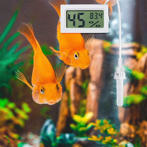 Weewooday three-pack packaging ideal for multiple setups like incubators, reptile tanks, or gardens.