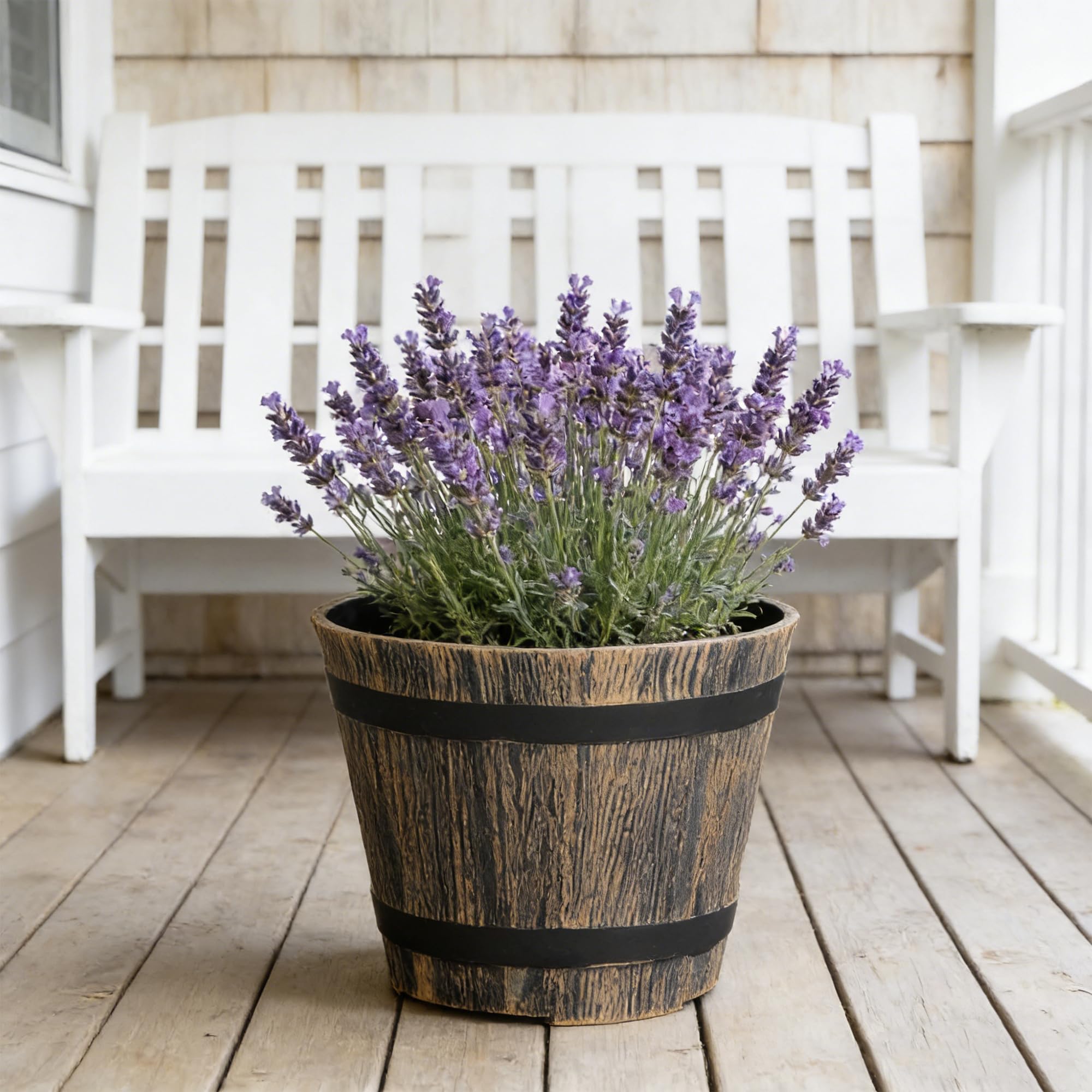 WEICHENGXING 7-inch pot suitable for indoor and sheltered outdoor spaces.