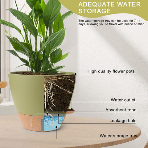 WEICHENGXING 9-inch self-watering planter enhances living room decor with easy care