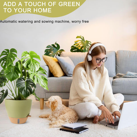 WEICHENGXING pot with detachable watering device simplifies plant care